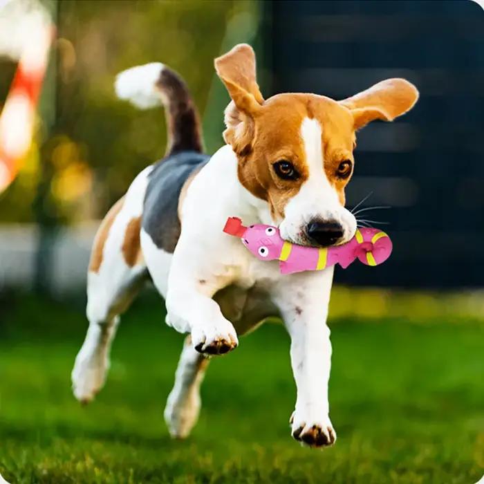 Nouveaux jouets pour chiens langue en latex lézard dents propres Puzzle crocodile vocal presser amusant soulagement du