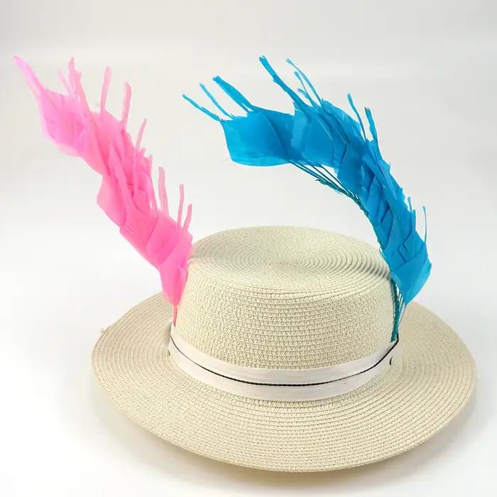 Plume d'Oie Naturelle Teinte Colorée