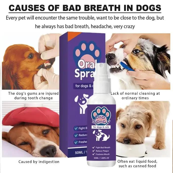 Spray buccal pour chien soin bucco-dentaire haleine fraiche gencives saines usage facile occasions quotidiennes visites vétérinaires