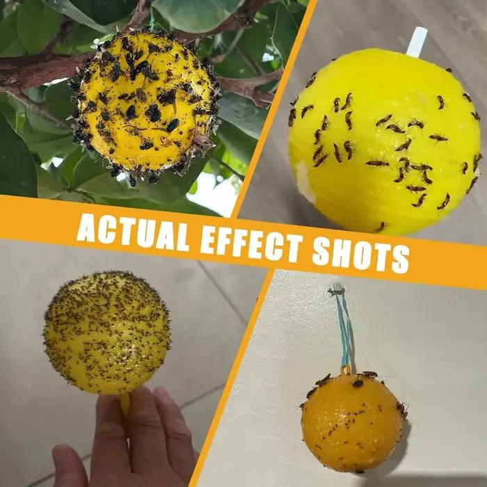Piège à balle collant puissant pour éliminer mouches et autres insectes volants pour cuisine magasin de fruits et poubelles