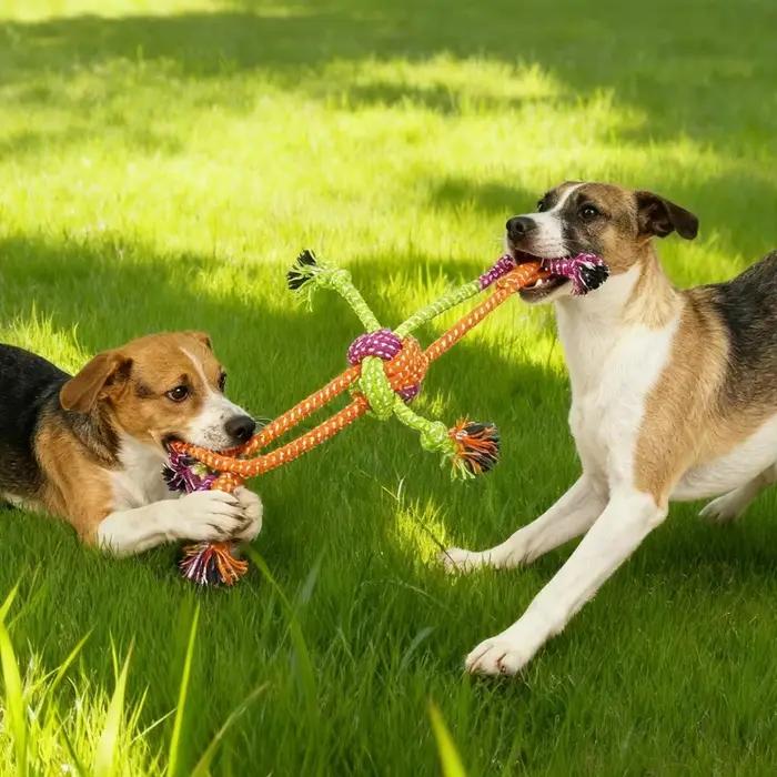 Jouet interactif durable résistant aux morsures pour chiens - Corde à mâcher avec franges vertes et orange