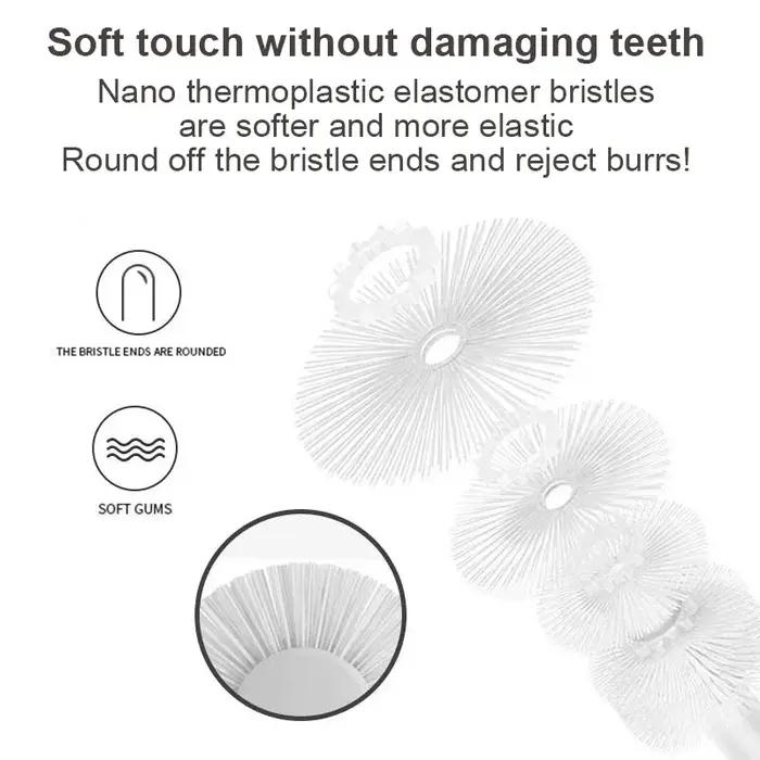 Brosse à dents de détartrage complète pour animaux de compagnie
