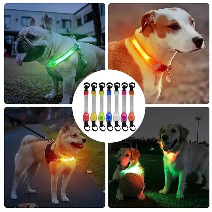 Collier lumineux de sécurité Anti-perte pour chien, pendentifs multicolores et bande lumineuse LED clignotante prête à l'extérieur, visibilité nocturne