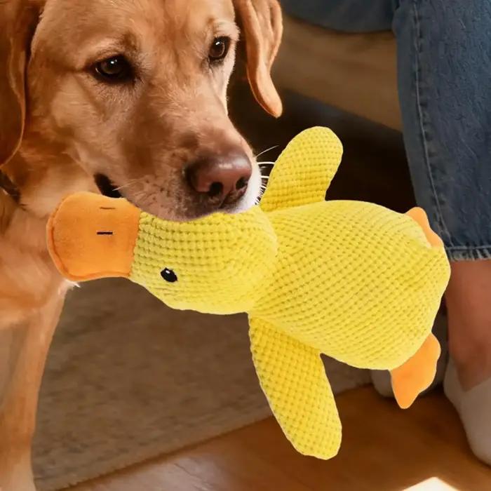 Jouet de canard apaisant pour chiens