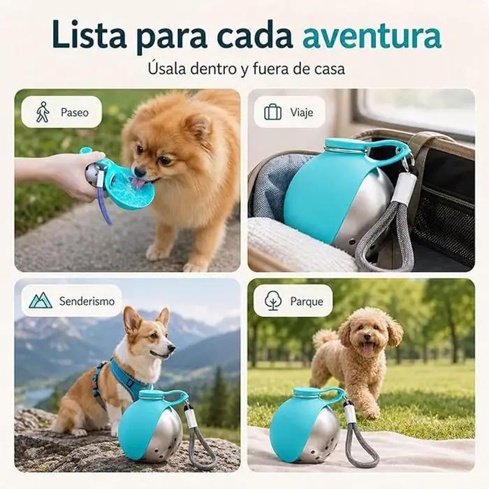 Fournitures pour animaux de compagnie : Distributeur d'eau portable pour chiens en déplacement