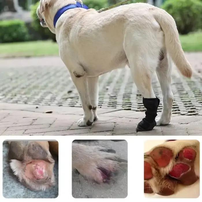 Bottes de récupération pour chiens en lin douces et respirantes pour convalescence et protection des pattes occassions spéciales