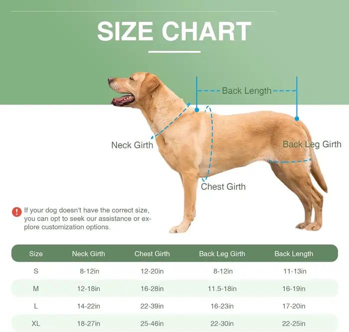 Attelle de soutien dorsal pour chien – Soulage la dysarthrose vertébrale