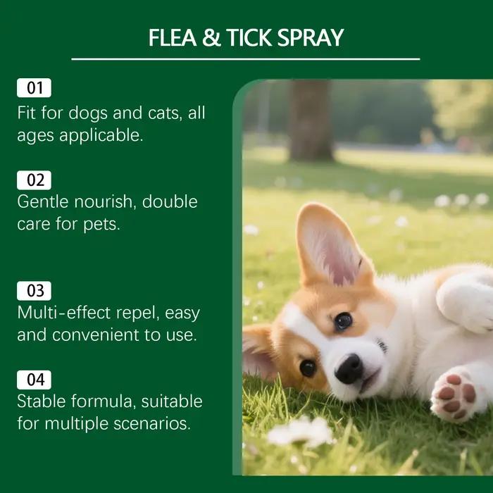 Spray anti-puces et tiques pour animaux de compagnie