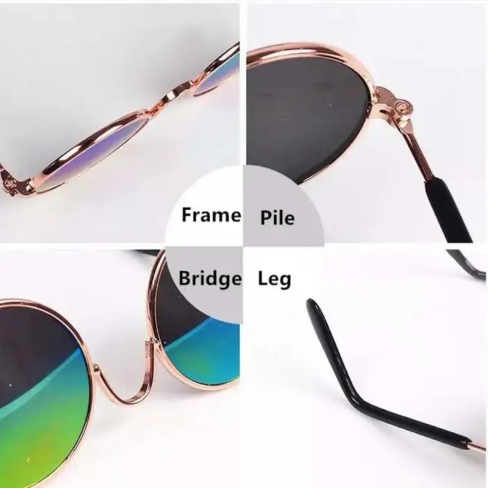Lunettes de soleil rondes amusantes pour petit chien et chat