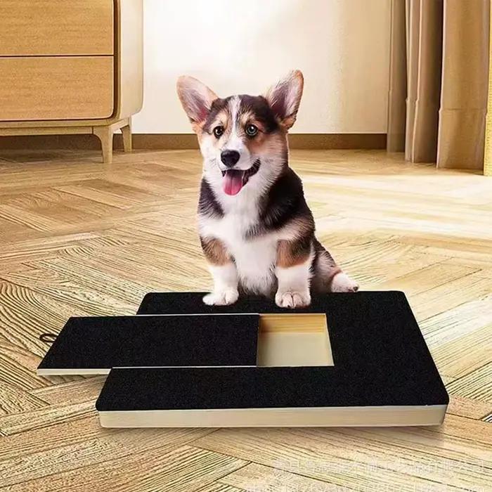 Planche à gratter pour ongles de chien en acier inoxydable pour chiens de toutes tailles occasions quotidiennes et cadeaux pour animaux de compagnie
