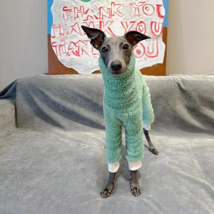 Vêtements d'hiver pour chiens souriants double face