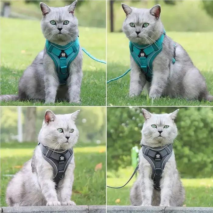 Harnais pour chien avec laisse de Traction de 1,5 m, ensemble sans traction, sangle de gilet pour chien, harnais respirant réfléchissant réglable pour chiens, chiots et chats