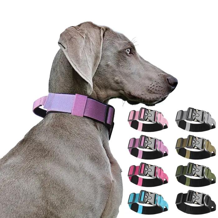 Collier tactique pour chiens de taille moyenne à grande taille