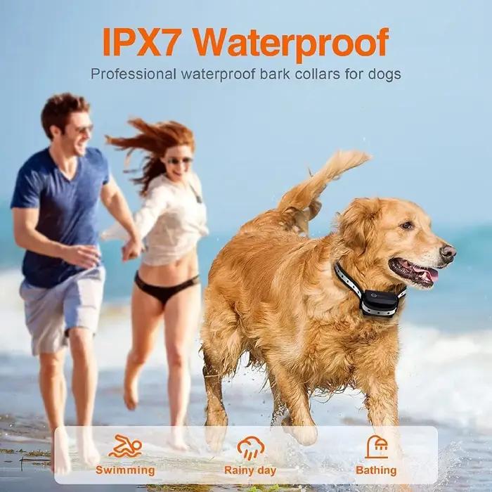 Collier de dressage pour chien de 1000m avec télécommande