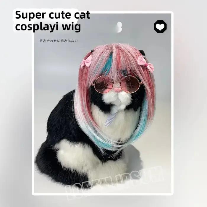Perruque de Costume de chien et de chat