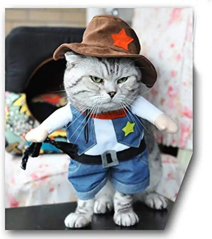 Costume d'halloween drôle pour chien et chat