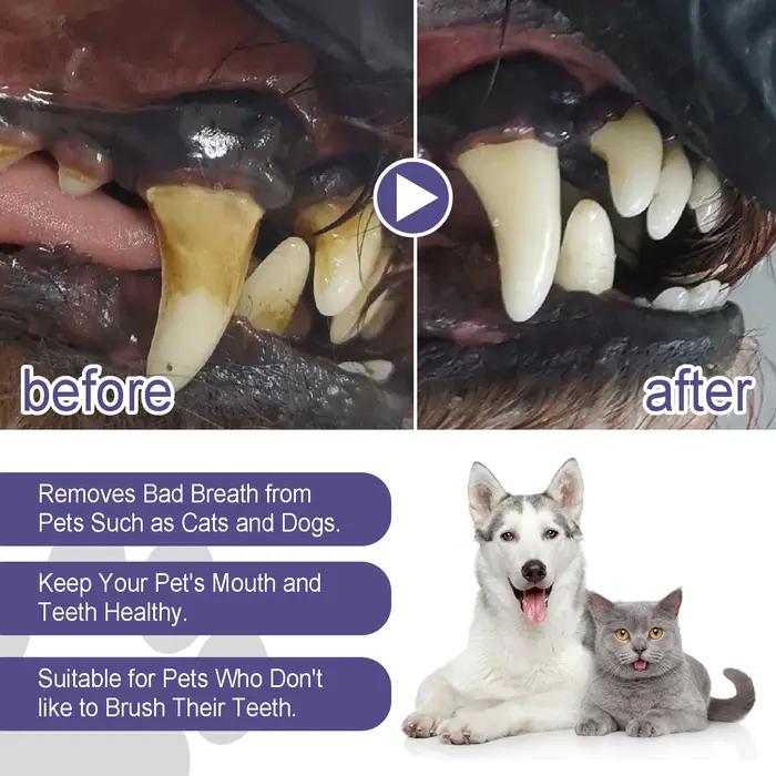 Gel dentaire pour animaux de compagnie, stylo de soins bucco-dentaires, combat la mauvaise haleine, contrôle du tartre, apaise les gencives, solution naturelle pour chiens et chats