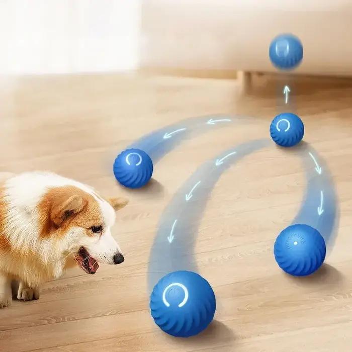 Boule roulante aste pour animaux de compagnie