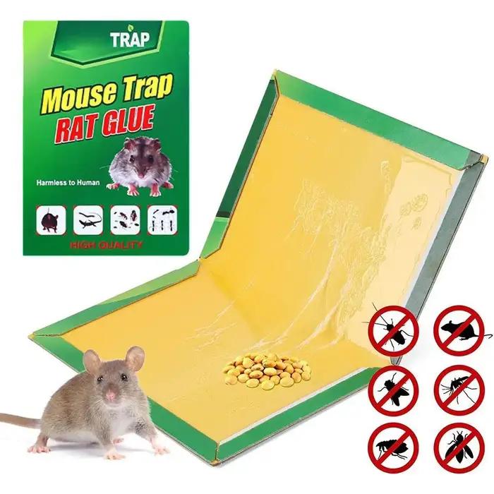 Pièges à souris adhésifs Super puissants