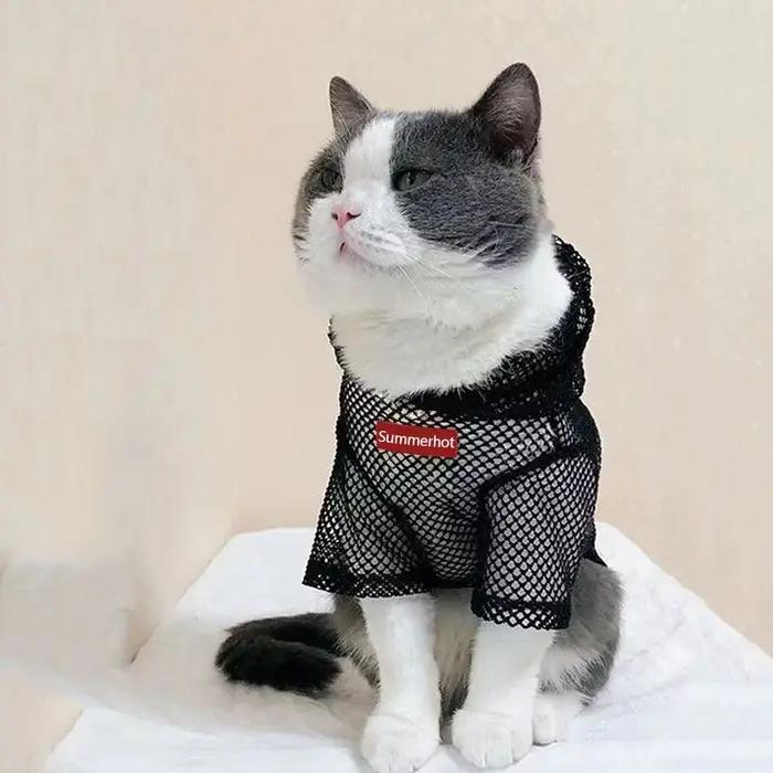 Sweat à capuche en maille pour chien, pull léger pour animaux de compagnie, vêtements pour petits et moyens chiens, pull Chihuahua, respirant, toutes saisons, chaud, été