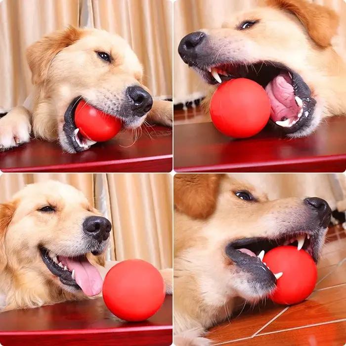 Balles en caoutchouc dures et solides pour chien