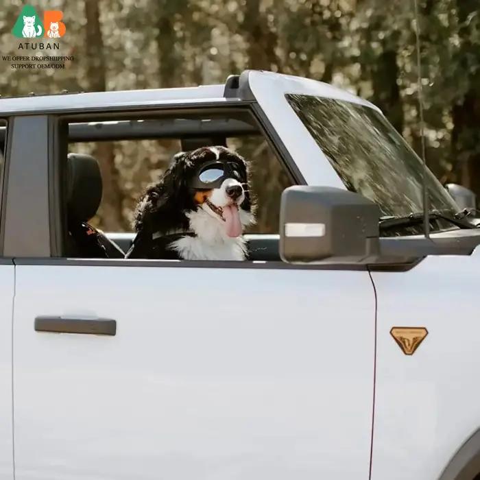 Lunettes de soleil transparentes anti-UV pour chiens de grande race