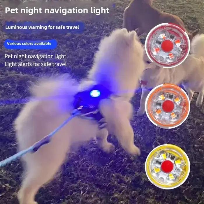 Collier de chien à lumière LED