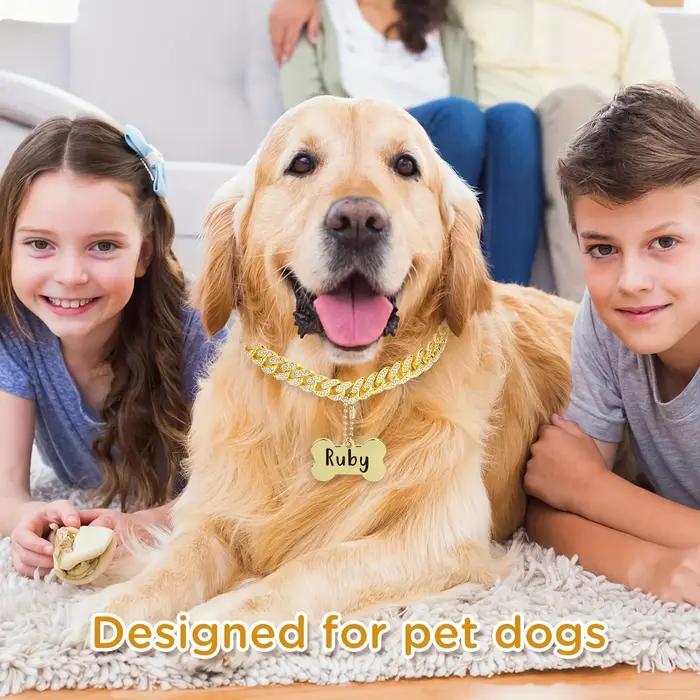 Collier de chien personnalisé en acier inoxydable avec maillons cubiques design moderne pour toutes les saisons et étapes de vie de votre animal de compagnie