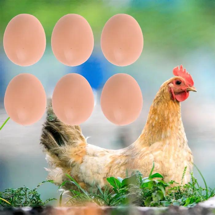 6/12/18/30 pièces oeuf à couver poule de pâques volaille trappe élevage Simulation faux oeufs artificiels en plastique pour aider les poulets la peine des oeufs
