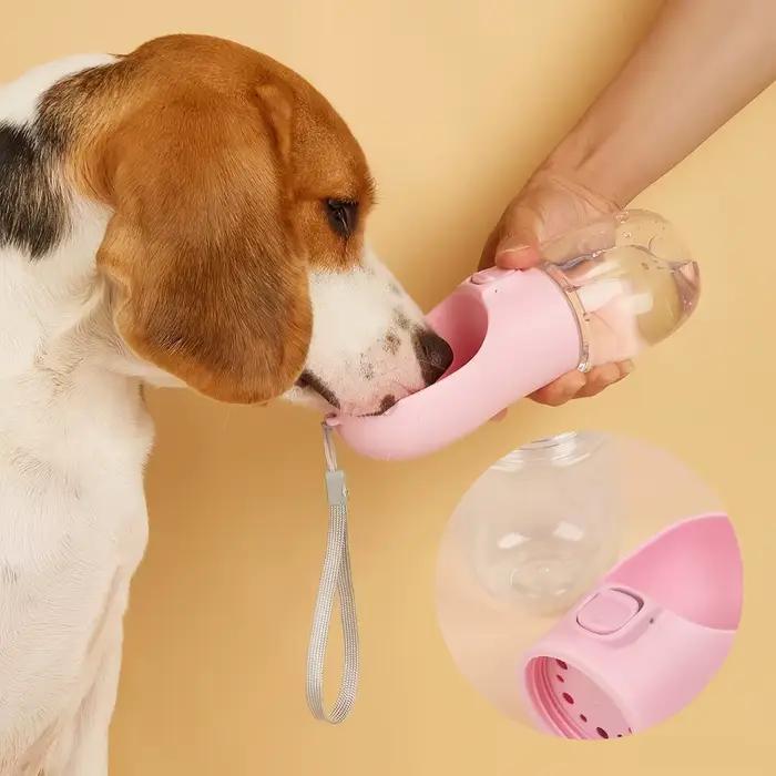 Bouteille d'eau étanche pour animaux de compagnie