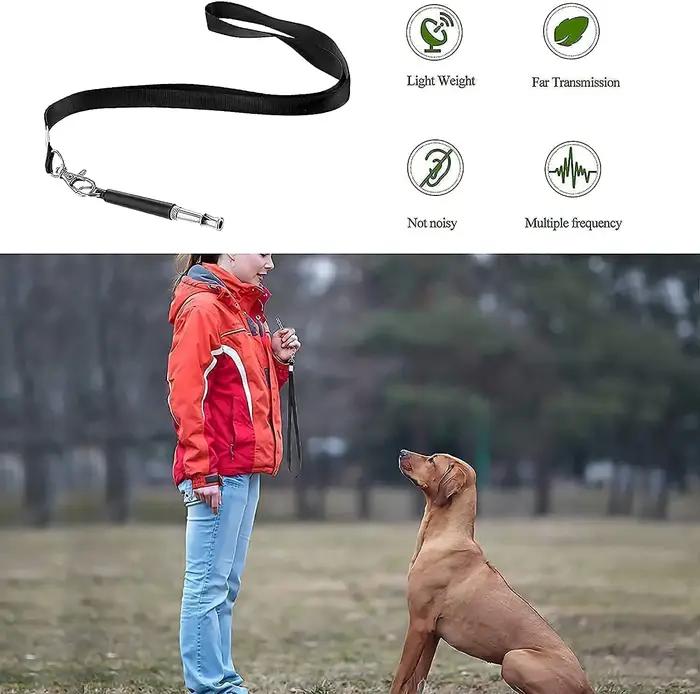 Sifflet ultrasonique pour chiens