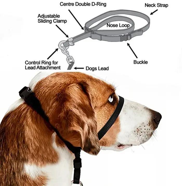 Collier de tête rembourré réglable en nylon pour chien