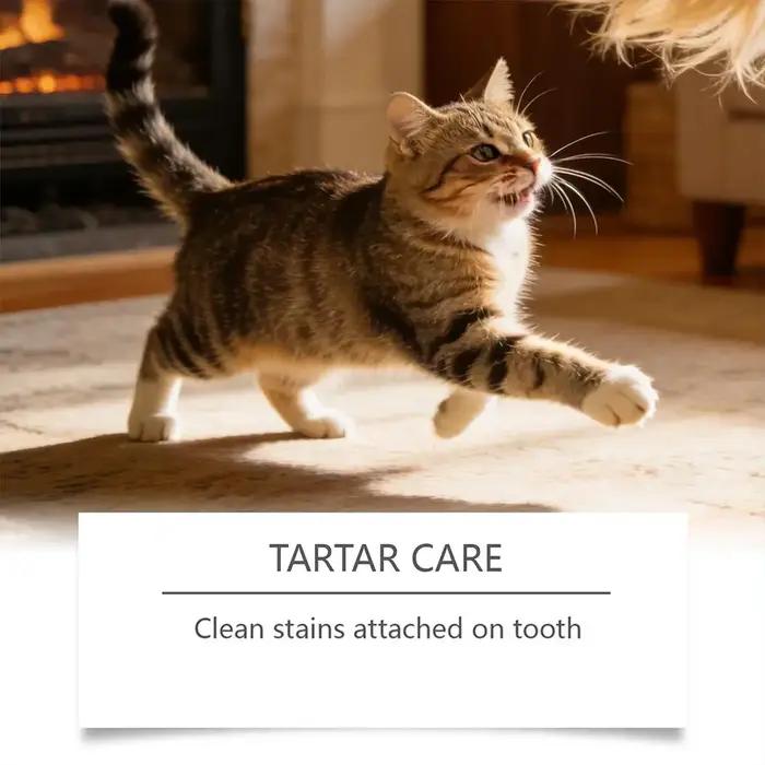 Spray buccal pour animaux de compagnie, pour chiens et chats, rafraîchisseur d'haleine dentaire, 30ml, nettoyant pour dents, spray d'hygiène buccale, outil de toilettage dentaire pour animaux de compa