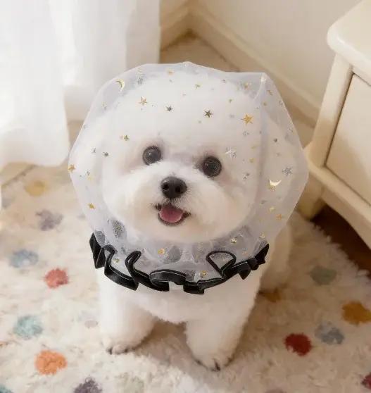 2 muselières pour chien respirantes et mignonnes