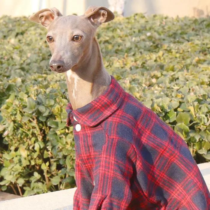 Manteau de printemps à manches longues en coton vert pour chiens mi-chiens