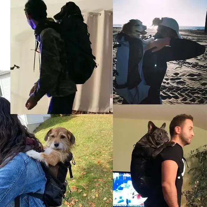 Sac à dos de transport pour chien réglable et durable