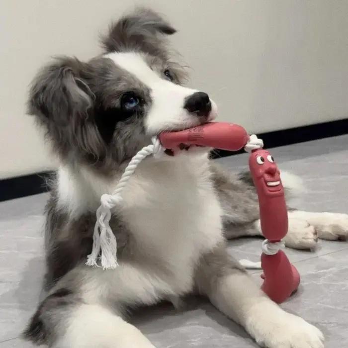 Jouet à mâcher pour chien en forme de saucisse