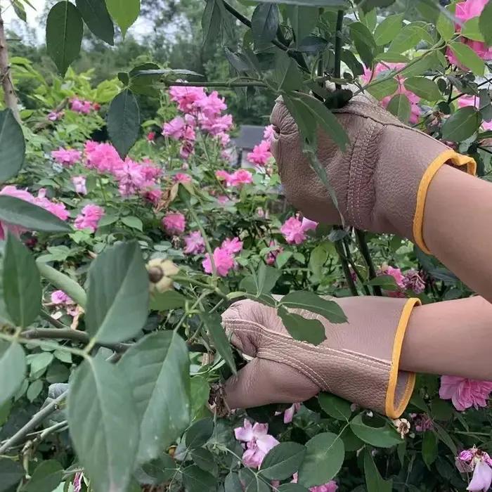 Gants professionnels cuir vachette jardinage et pêche : imperméables et résistants aux perforations