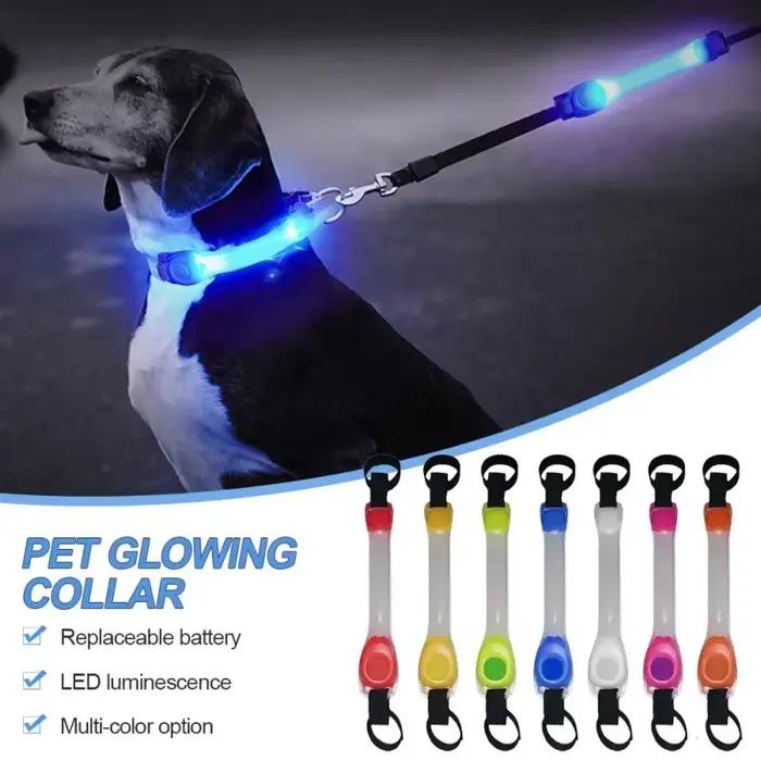 Collier lumineux de sécurité Anti-perte pour chien, pendentifs multicolores et bande lumineuse LED clignotante prête à l'extérieur, visibilité nocturne