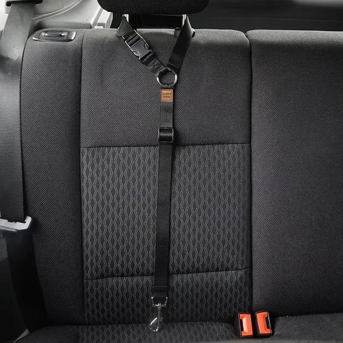 Ceintures de sécurité de voiture pour animaux de compagnie