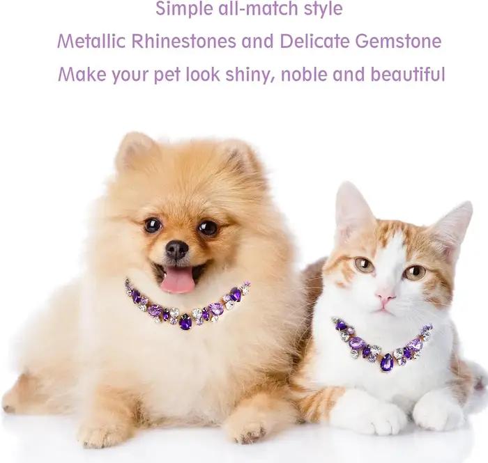 Collier de luxe en pierres précieuses pour chien et chat
