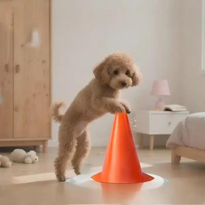 Support de toilette pour chien pour guider les chiens dans leur urination