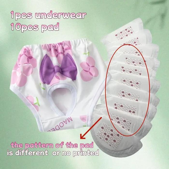 Culottes lavables pour chiennes avec 10 coussinets absorbants pour chiots