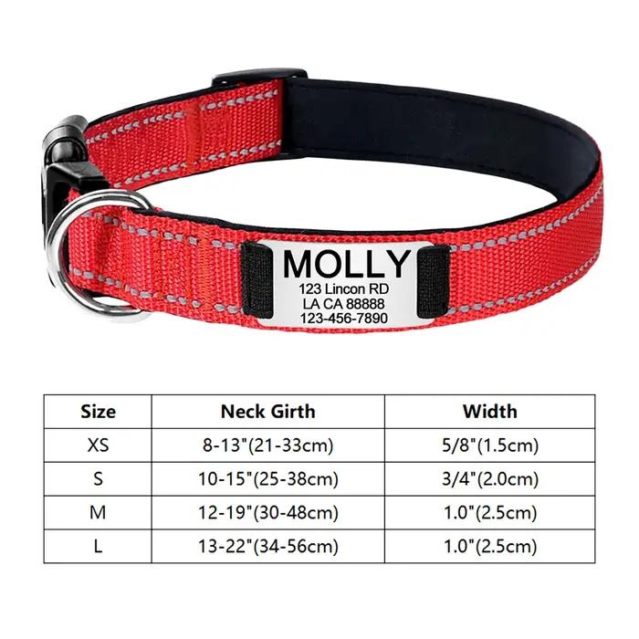 Colliers de chien réfléchissants personnalisés gravés, étiquette d'identification de nom, chiot lumi