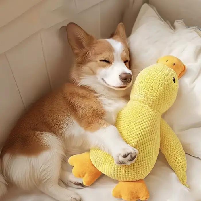 Jouets pour chiens en forme de canard jaune pour mâcheurs agressifs