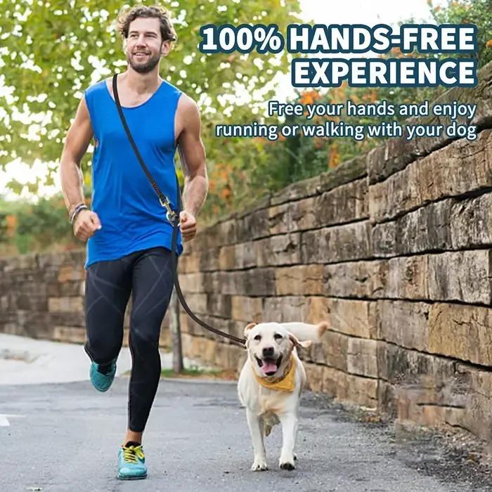 Laisse multifonctionnelle en cuir véritable pour chiens de toutes étudiés
