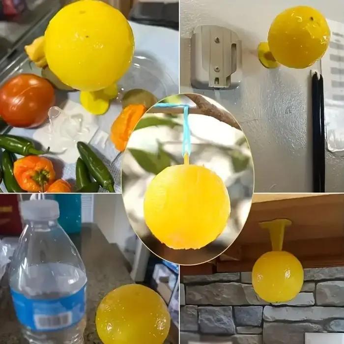 Piège à mouches boule collante résistant à la chaleur pour jardin protection des fruits sans produits chimiques occasions spéciales