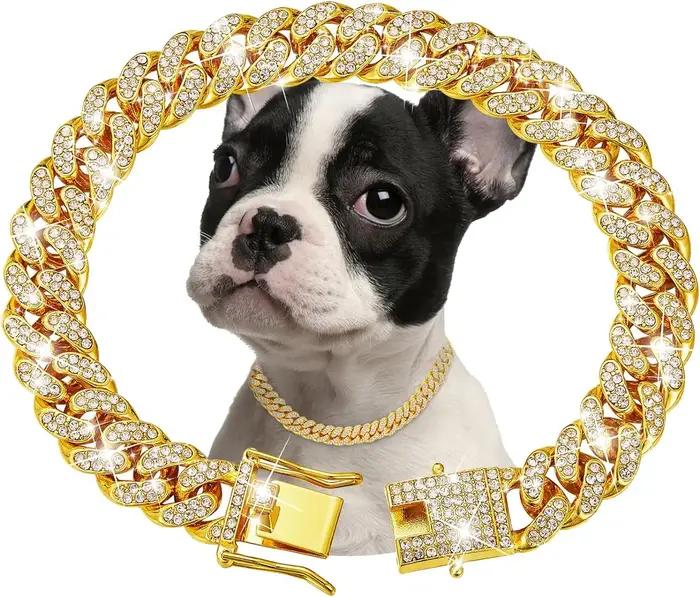 Collier de chaîne en métal doré pour animaux de compagnie