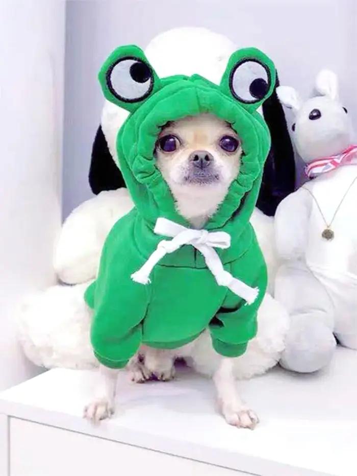 Pull grenouille mignon pour animaux de compagnie
