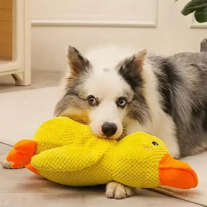 Jouet en peluche canard jaune interactif pour animaux de compagnie pour soulager l'ennui et favoriser la socialisation et l'activité physique occaions spéciales et quotidiennes